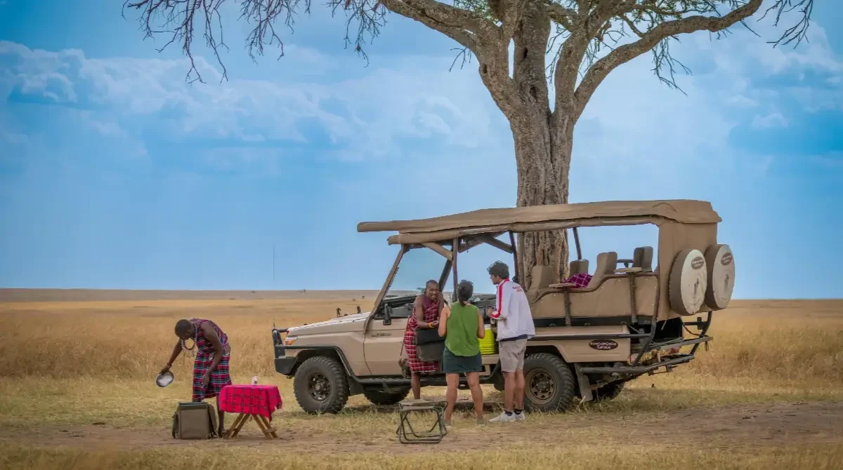 Exploring Untamed Africa: Jeep Safari Adventures